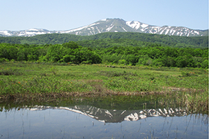 八甲田山