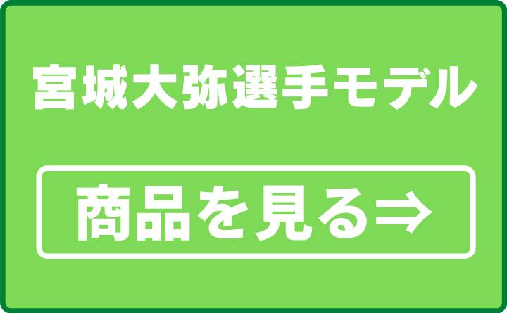 宮城大弥選手モデル